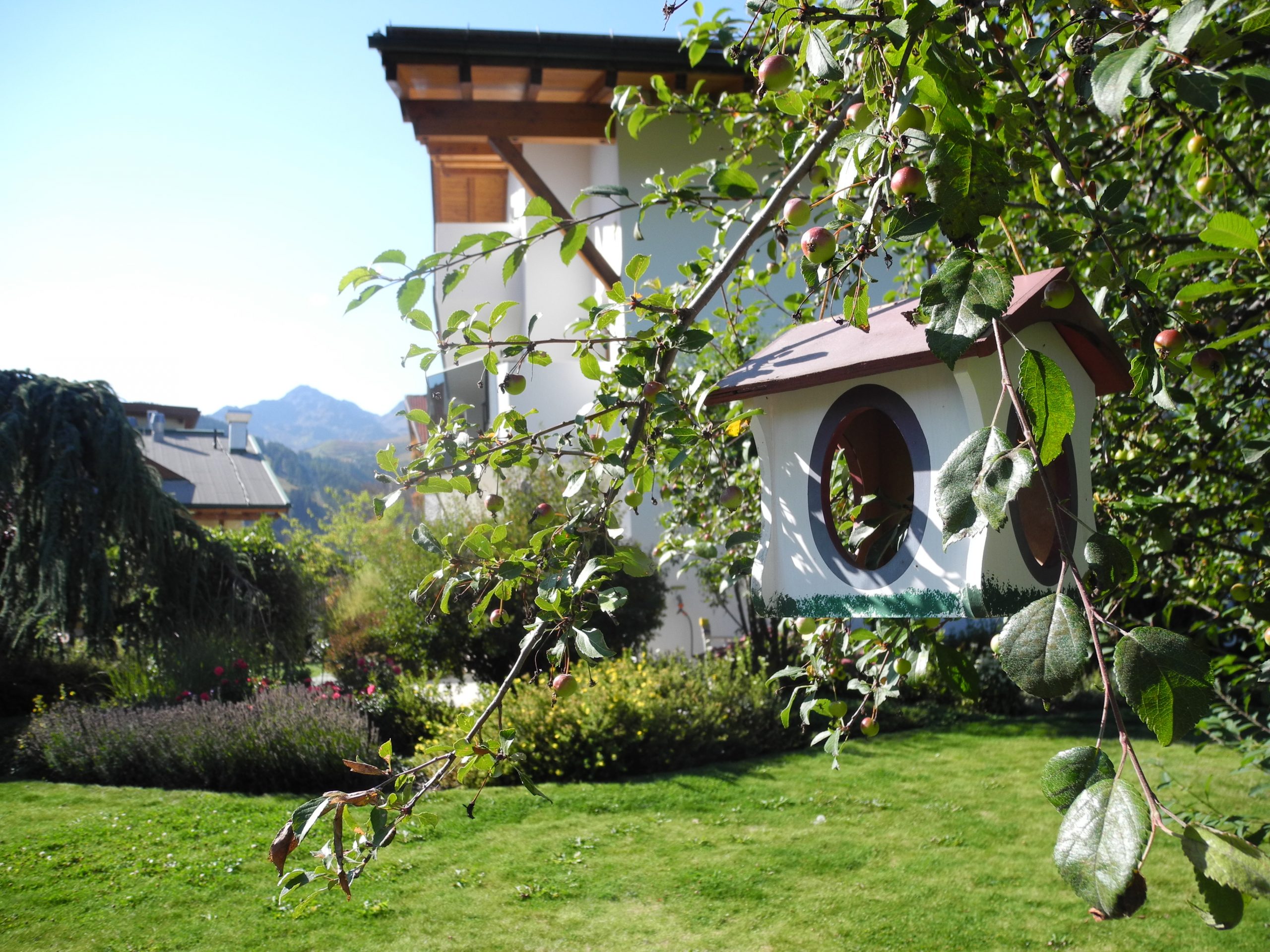 Sulla Collina, garden, birdhouse